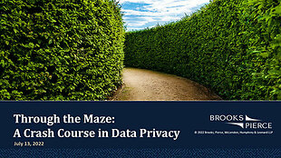 A Crash Course in Data Privacy