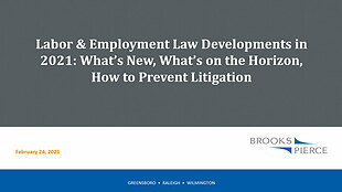 Labor & Employment Law Developments in 2021: What’s New, What’s on the Horizon, How to Prevent Litigation